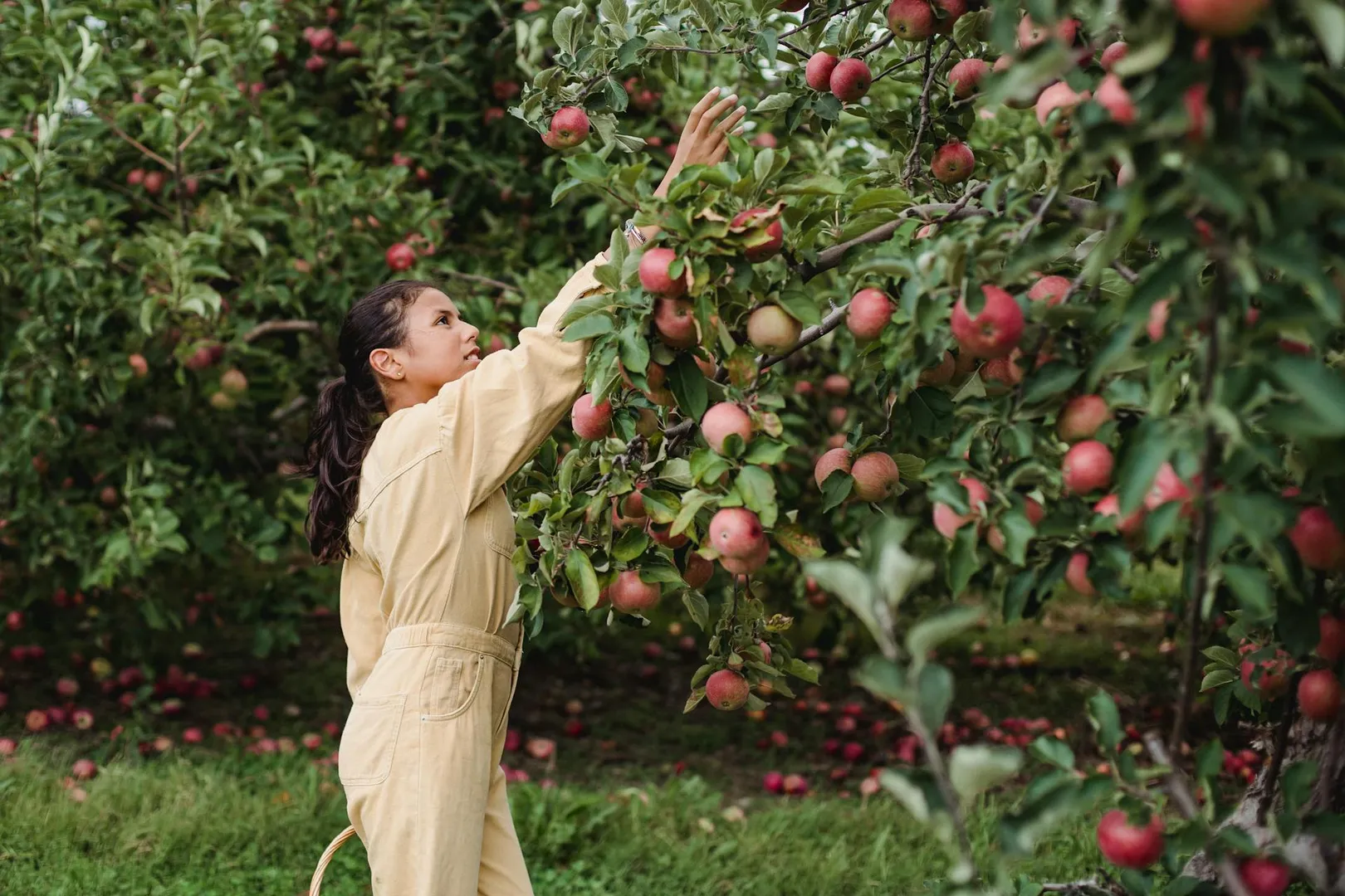 How to Get a UK Seasonal Worker Visa — Full Guide